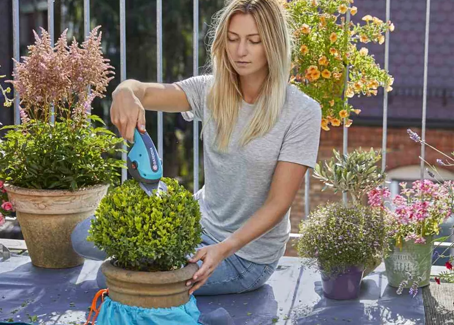 Gardena Akku Grasschere Classiccut Li Oldenburger Wohngarten Dein Wohlf Hlgartenmarkt