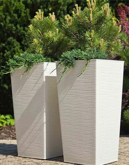 Siena Garden Pflanzkübel Nizza, eckig, 35x35x68,0 cm Rillenoptik in weiß Kunststoff 