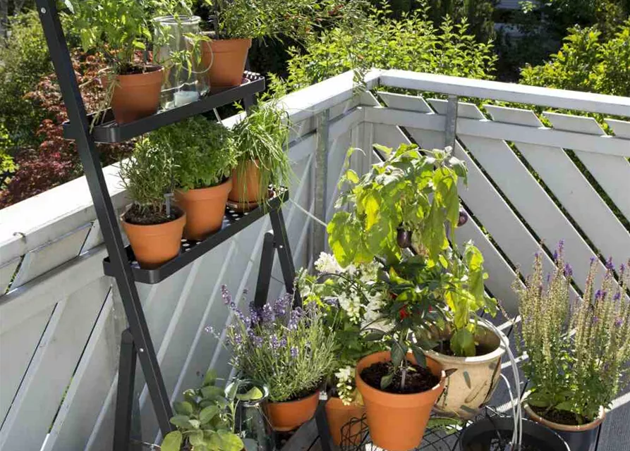 Gardena Urlaubsbewässerungs-Set für bis zu 36 Topfpflanzen