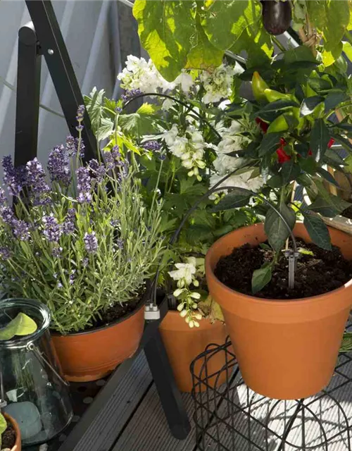 Gardena Urlaubsbewässerungs-Set für bis zu 36 Topfpflanzen