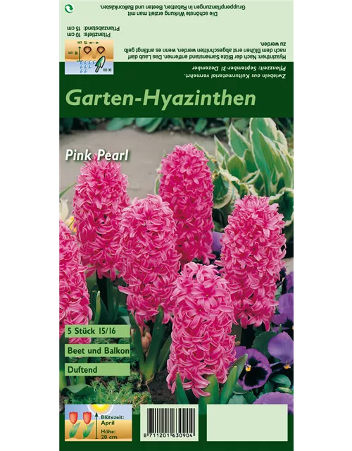 Hyazinthe 'Pink Pearl'