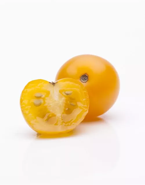 Cherry-Tomate-Samen