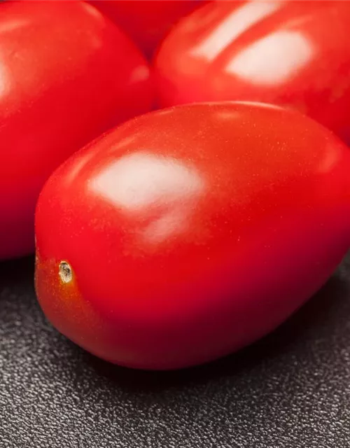 Cherry-Tomate-Samen