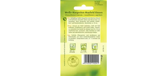 Großblumige Margerite-Samen 'Mayfield Riesen'