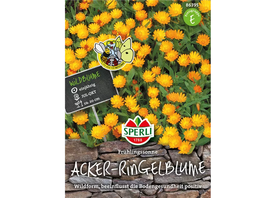 Acker-Ringelblume 'Frühlingssonne'