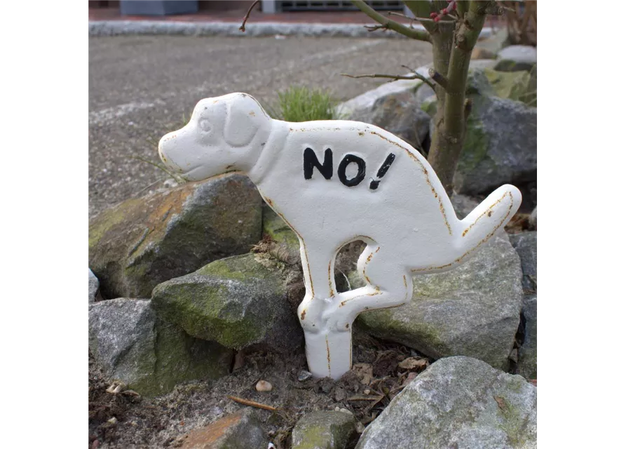 Hunde-Verbotsschild "Kein Hundeklo" Einstecker Hundehaufen a. Gusseisen - weiß