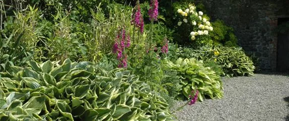 Jetzt ist es wieder soweit: Die Gartengestaltung mit Stauden