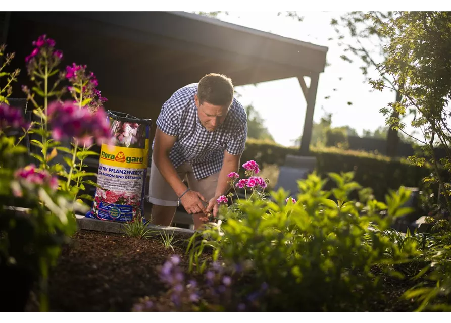 Floragard Aktiv Balkon- und Geranienerde 70l