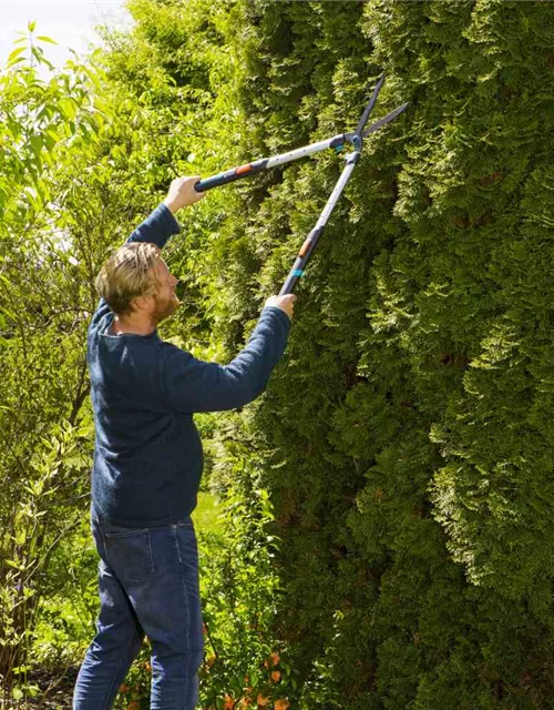 Gardena Teleskop-Heckenschere TeleCut