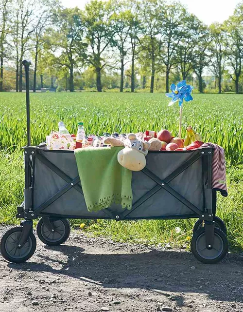 Pinolino Klappbollerwagen Porti, schwarz