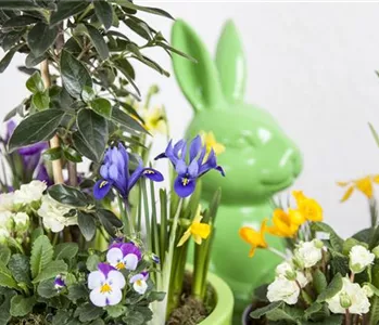 DAS GARTENPARADIES FüR OSTERHASEN