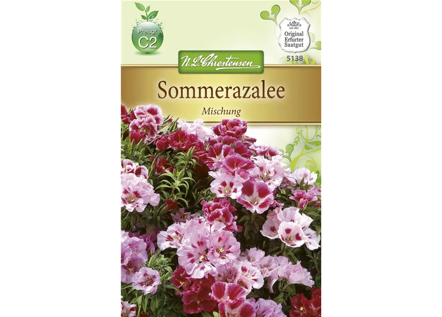 Atlasblumensamen