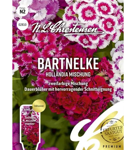 Bartnelkensamen 'Hollandia Mix'