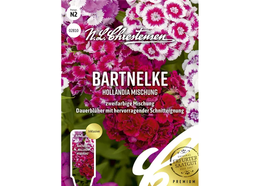 Bartnelkensamen 'Hollandia Mix'