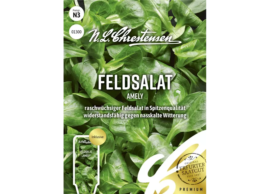 Feldsalatsamen 'Amely'