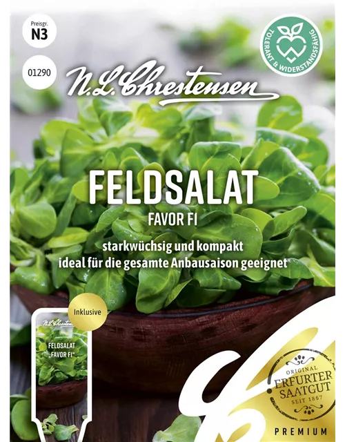 Feldsalatsamen 'Favor'