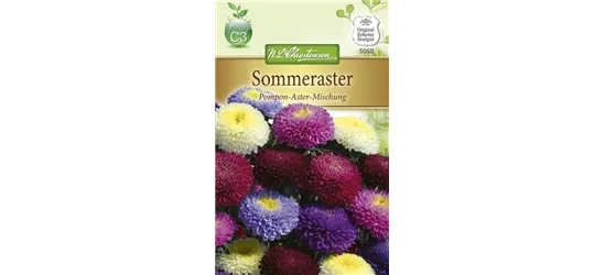 Gartenastersamen 'Pompon'