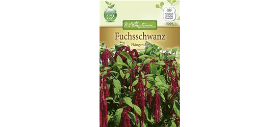 Garten-Fuchsschwanz-Samen