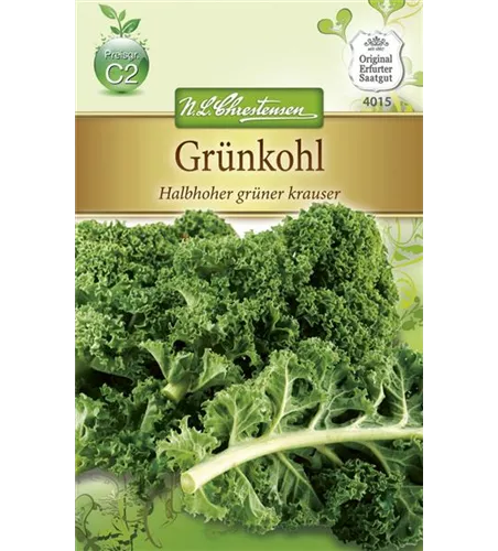 Grünkohlsamen 'Halbhoher Grüner Krauser'