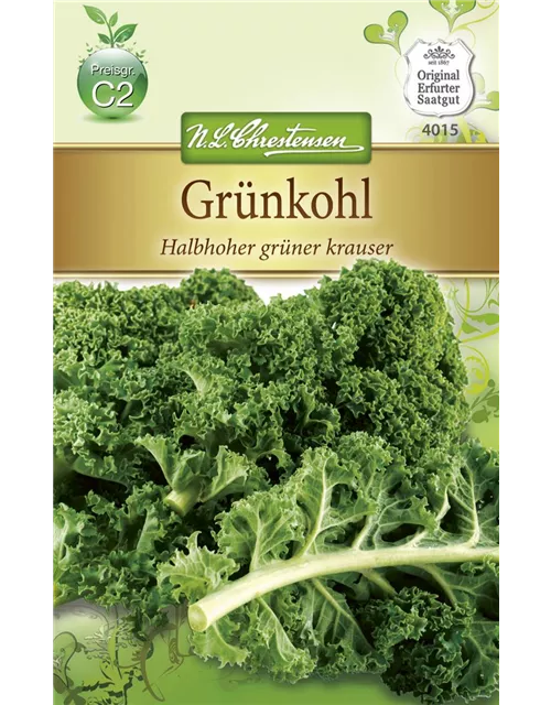 Grünkohlsamen 'Halbhoher Grüner Krauser'