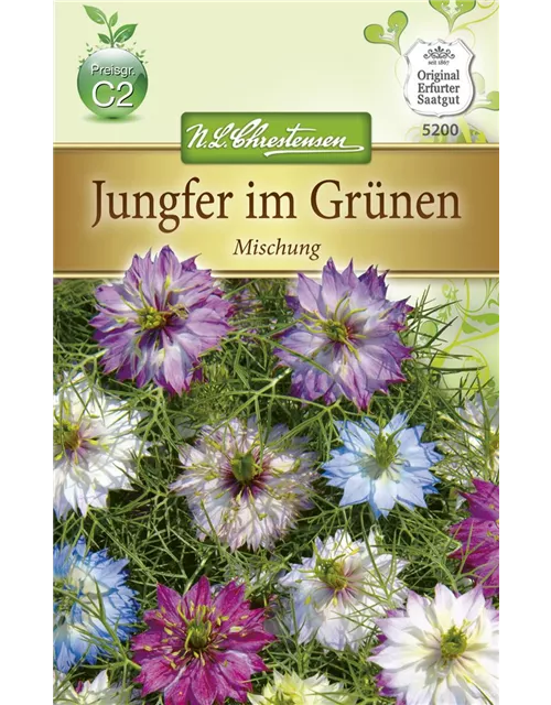 Jungfer im Grünen-Samen