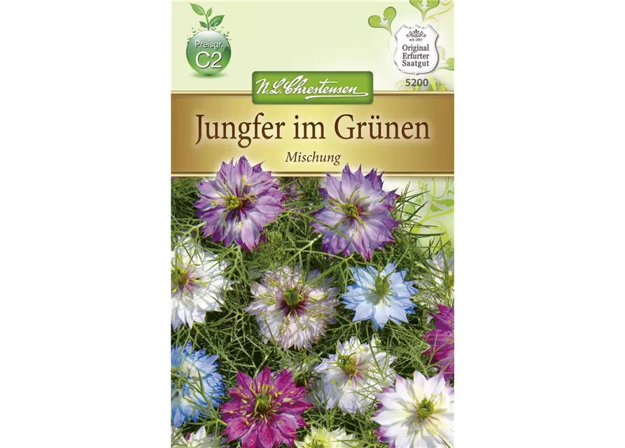 Jungfer im Grünen-Samen