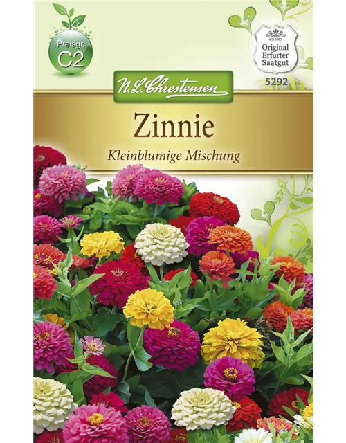 Kleinblütige Zinnie-Samen