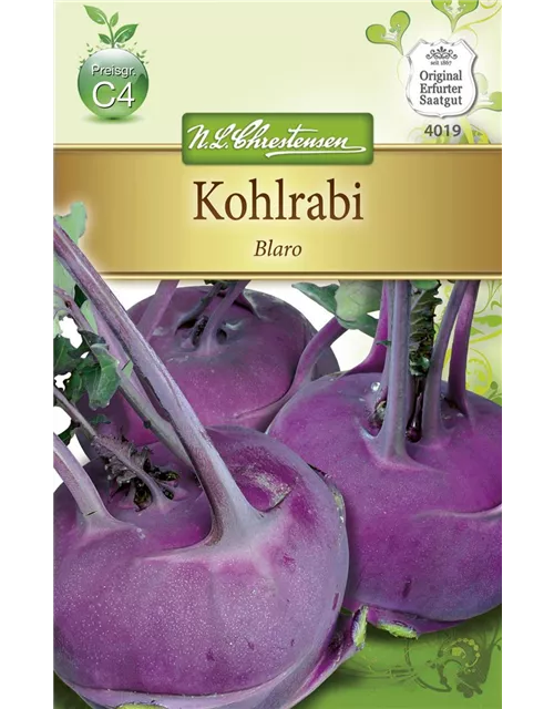 Kohlrabisamen 'Blaro'