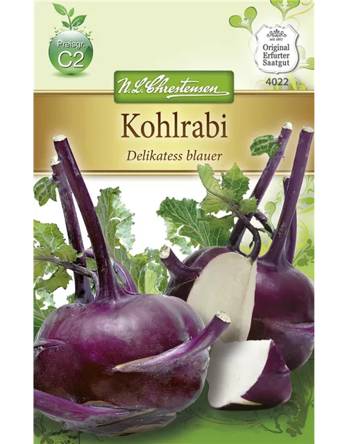 Kohlrabisamen 'Blauer Delikatess'