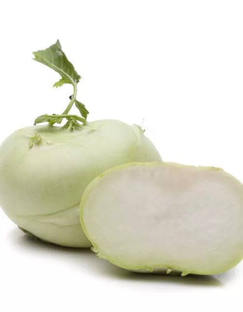 Kohlrabisamen 'Gigant'