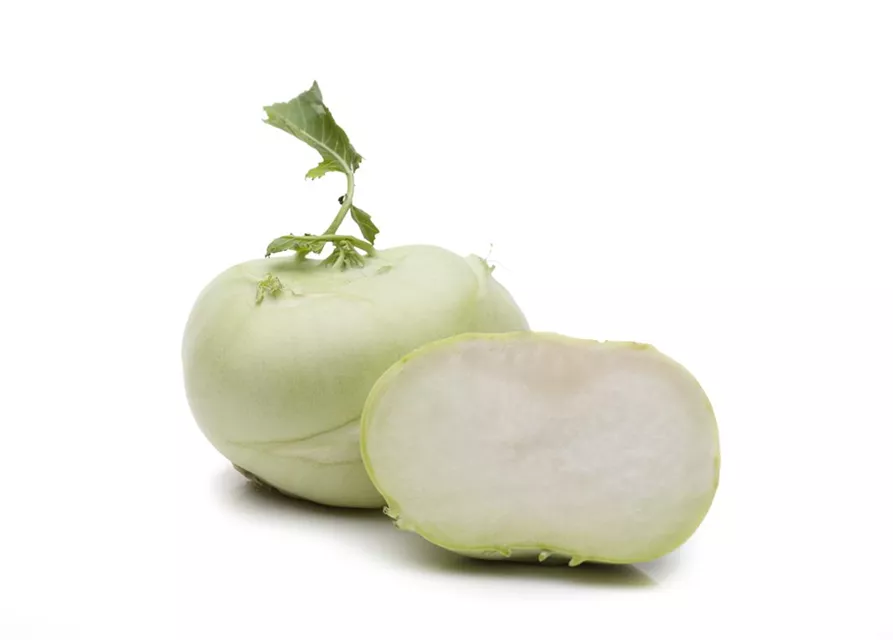 Kohlrabisamen 'Gigant'