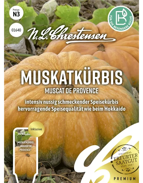 Kürbissamen 'Muscat de Provence'