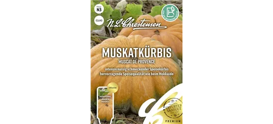 Kürbissamen 'Muscat de Provence'