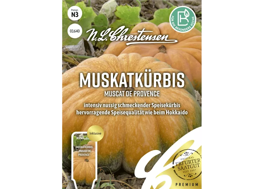 Kürbissamen 'Muscat de Provence'