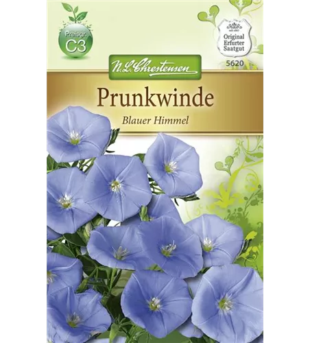 Prunkwindensamen 'Blauer Himmel'