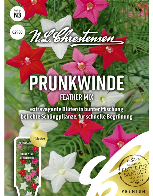 Prunkwindensamen 'Feather Mix'