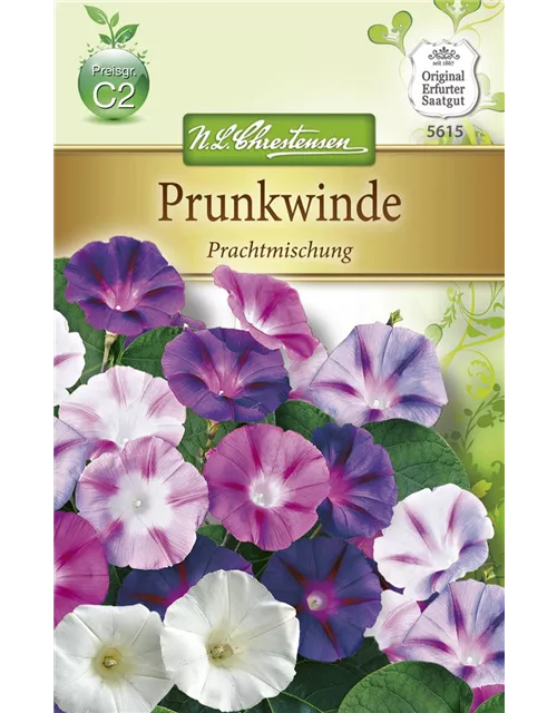 Prunkwindensamen 'Prachtmischung'