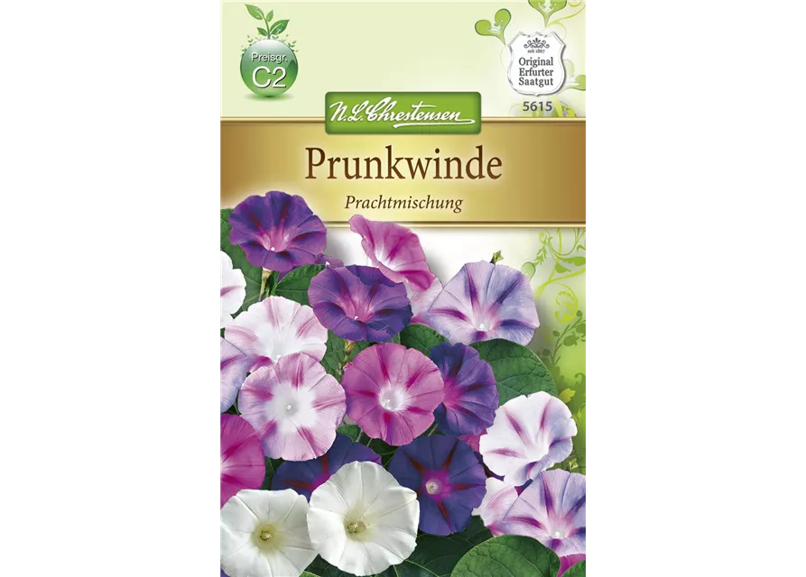 Prunkwindensamen 'Prachtmischung'