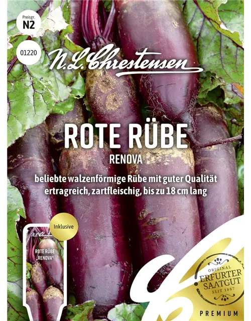 Rote Rübe-Samen 'Renova'