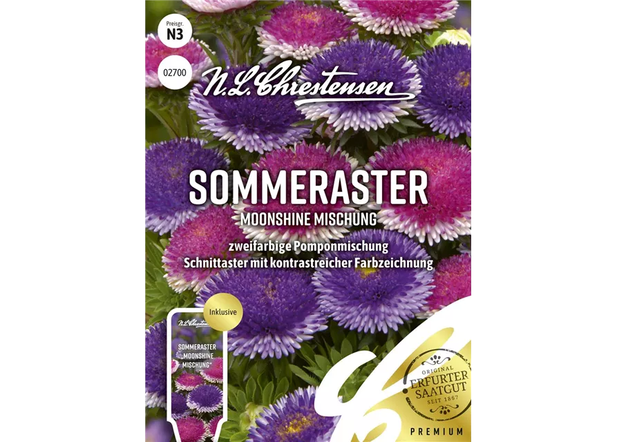 Somerastersamen 'Moonshine Mischung'