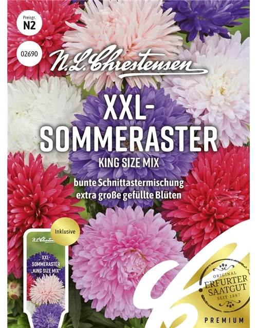 Sommerastersamen 'King Size Mix'