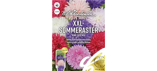 Sommerastersamen 'King Size Mix'