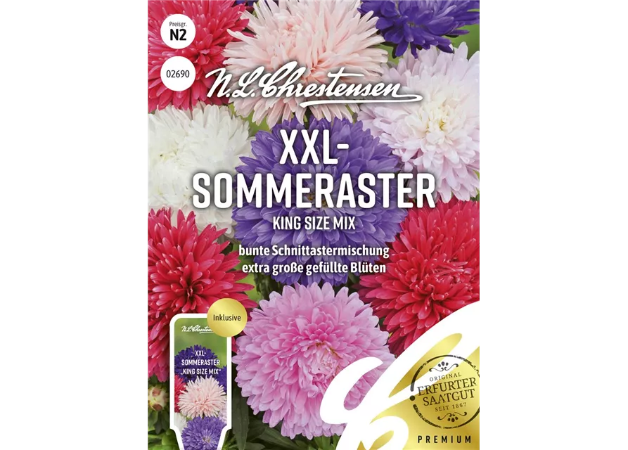 Sommerastersamen 'King Size Mix'