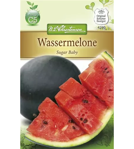 Wassermelonensamen 'Sugar Baby'