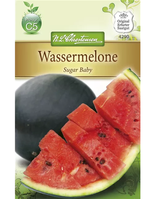 Wassermelonensamen 'Sugar Baby'