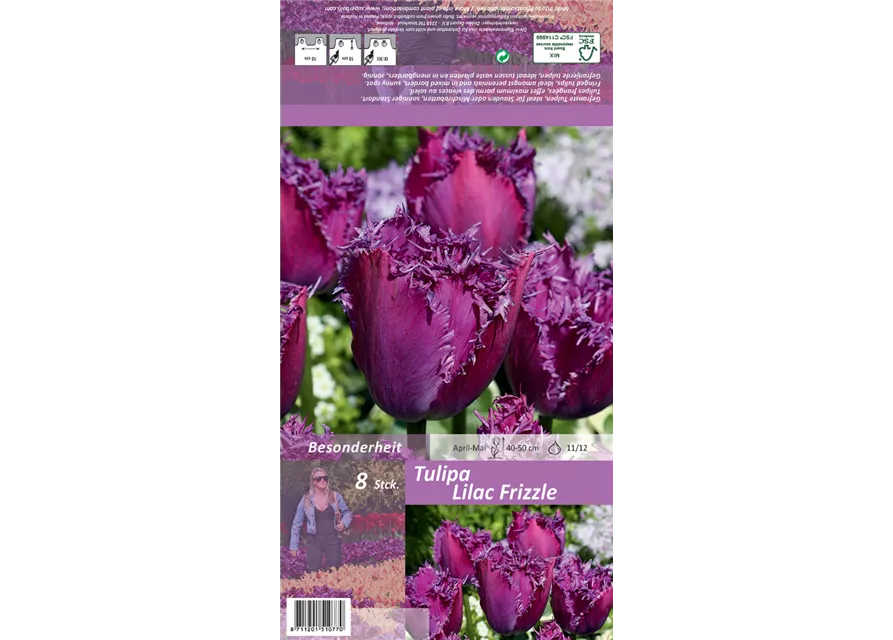 Blumenzwiebel Set 'Lilac Specials'