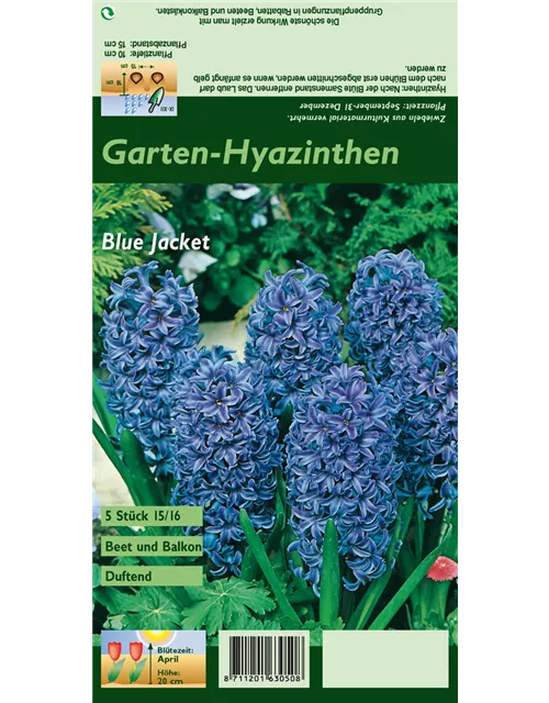 Blumenzwiebel Set 'Blue Sky'