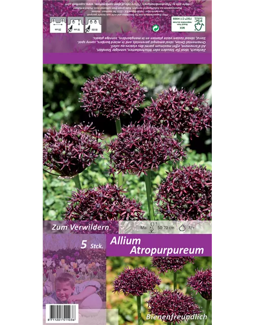 Blumenzwiebel Set 'Lilac Specials'