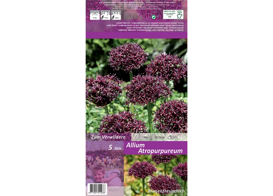 Blumenzwiebel Set 'Lilac Specials'