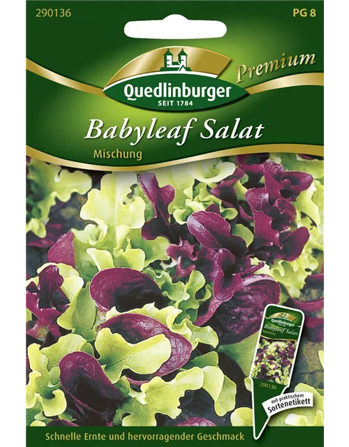 Babyleaf-Salat-Samen